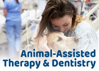 Savannah dentist Dr. Comer of Christopher Comer, DMD, discusses the pros and cons of animal-assisted therapy (AAT) in the dental office.